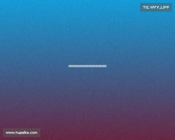 格子欧洲杯与世界杯出场,追平洛里成法国队大赛出场纪录