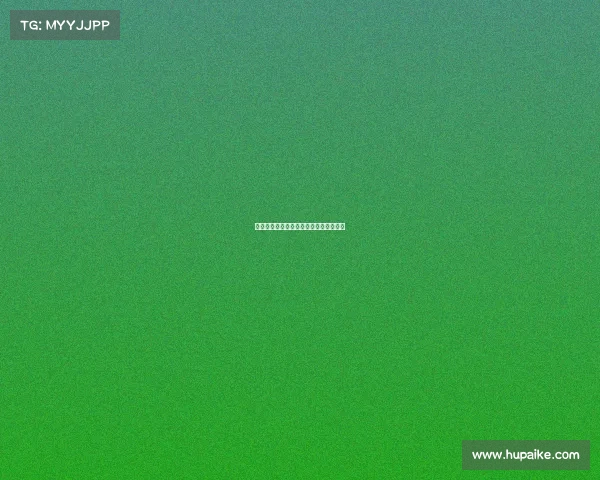 波杰姆斯基三分火力全开!助力球队获胜