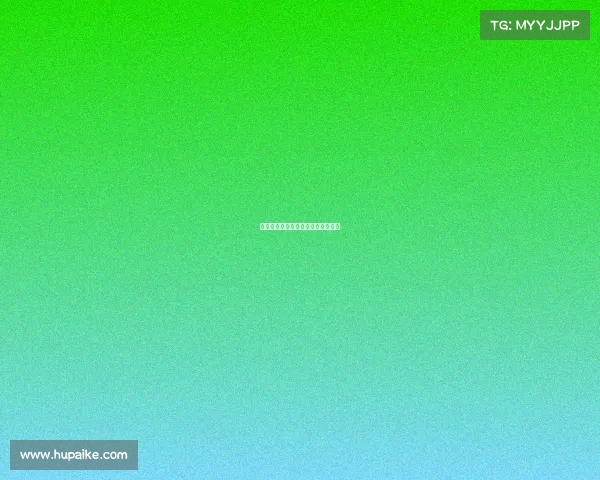 湖人队连胜不止，始终保持强劲势头