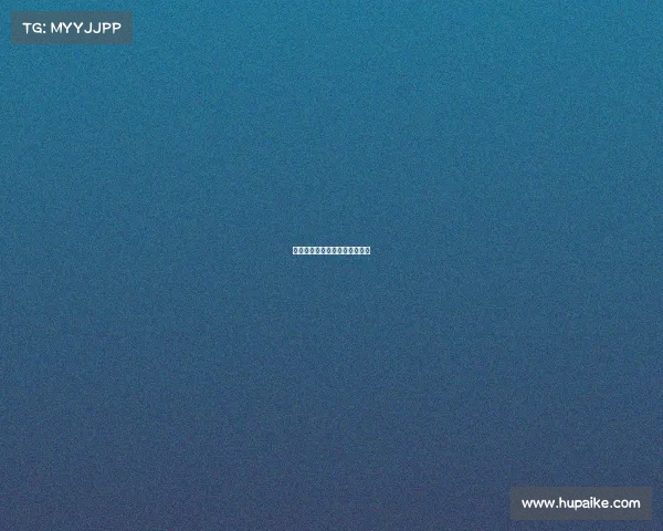 湖人力克猛龙，稳住季后赛位置