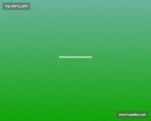 颜颖慧与王雨婷双双摘金，全国击剑冠军赛分站赛精彩上演