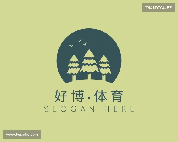 解读好博·体育